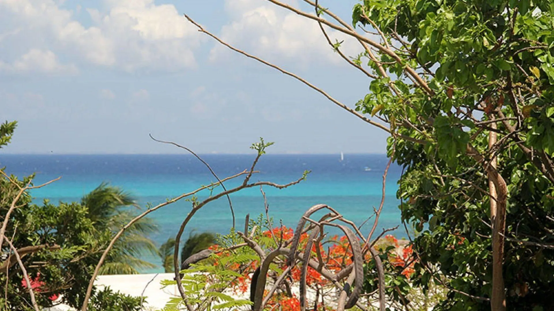 El Secreto Hotel Playa del Carmen 2*,  Meksika